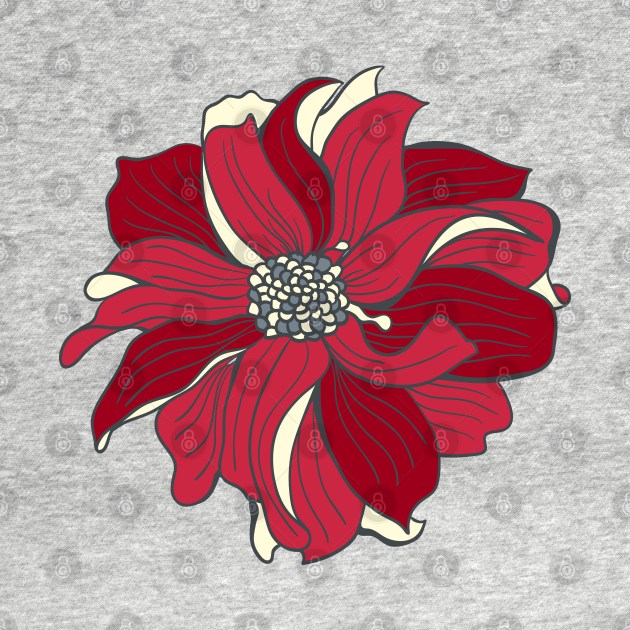 DAHLIA in cherry red, single flower by Slanapotam